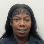 Watkins Lakeisha Denise Organized Retail Theft