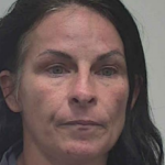 Kraft Leslie Ann Unauthorized Use Of Other Vehicle No Force Interference With Custody