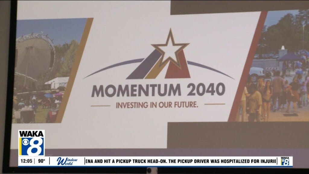 Momentum 2040 City Council