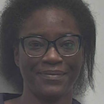Howard Channaveka Vonsha Domestic Violence 3 Criminal Mischief 3
