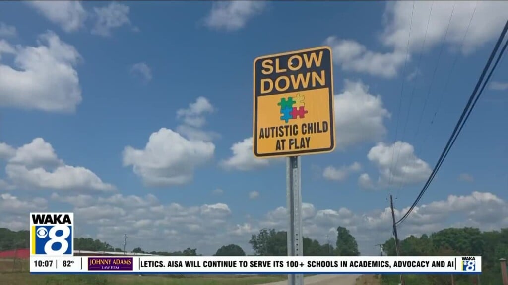 Greenville Autism Street Signs