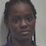 Williams Jayla Shonta Child Abuse Aggravated Family No Child Restraint Driving While Suspended
