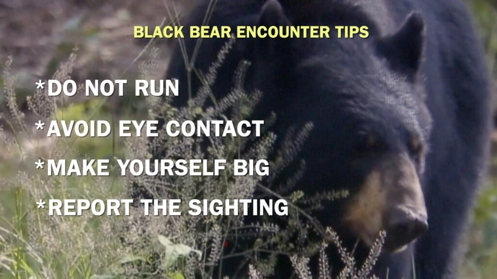 Waka Blackbear0901 Pkg