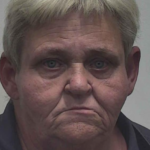 King Sharon Denise Theft Of Property 4