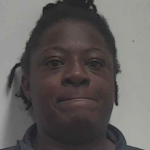 Smith Neosha Diane No Drivers License Failure To Wear Safety Belt Failure To Register Vehicle