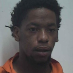 Perkins Jaquantae Jadiamond Failure To Wear Safety Belt Theft Of Property 2