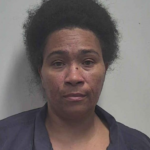 Sankey Natalie Nicole Domestic Violence 3 Harassment