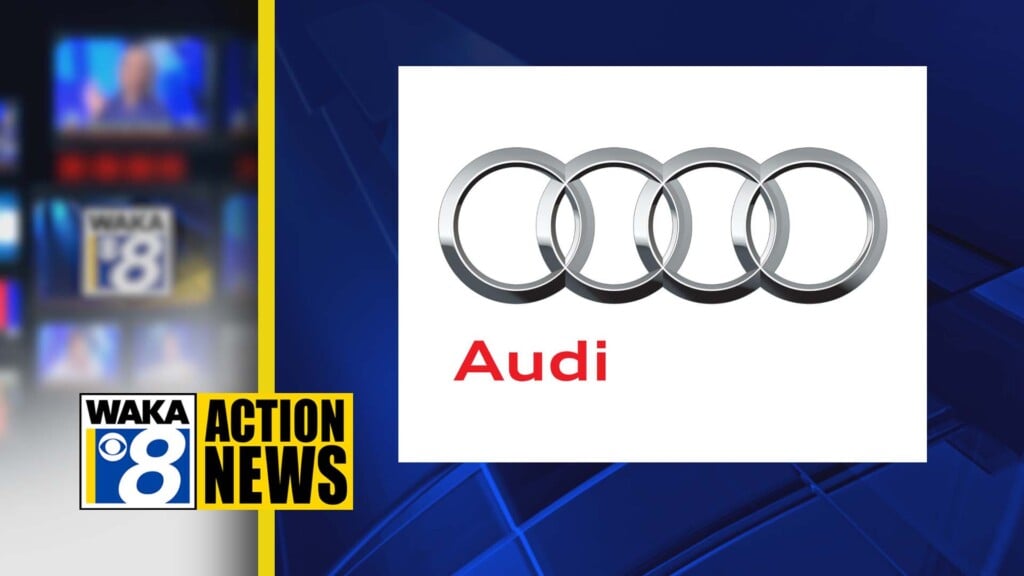 Audilogo