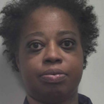 Martin Shuneaka Lashundra Theft By Fraudulent Leasing