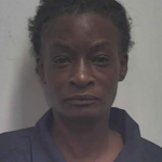 Brown Danielle Dominque Theft Of Property 1
