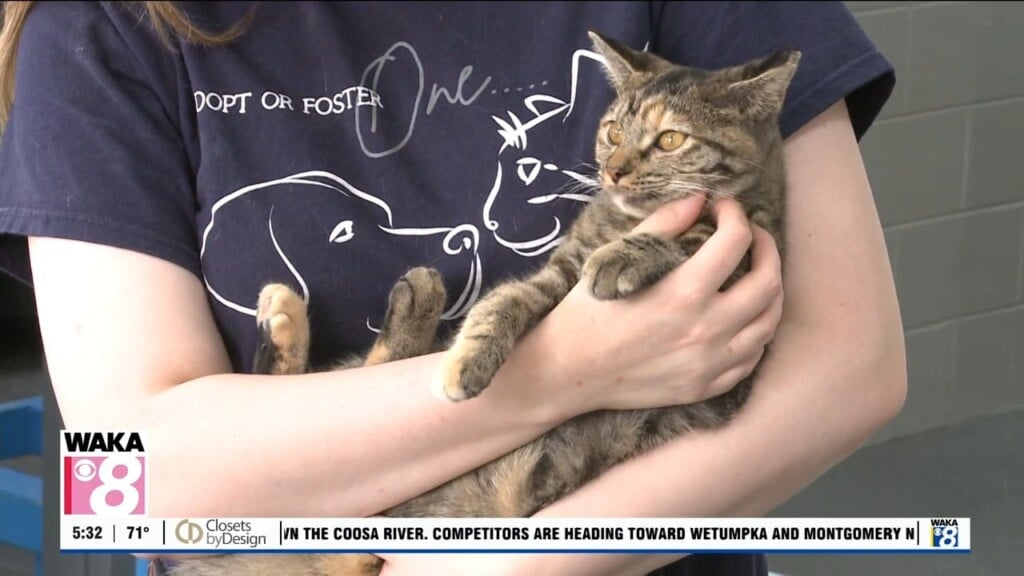 Pets Of The Week: Oct. 5