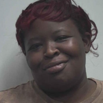 Wright Carrie Deterica Theft By Fraudulent Leasing
