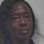 Hoskins Erica Lashondra Retail Theft 2 Organized Retail Theft Criminal Trespass 3 No Child Restraint