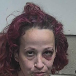 Render Debra Diaz Burglary 3