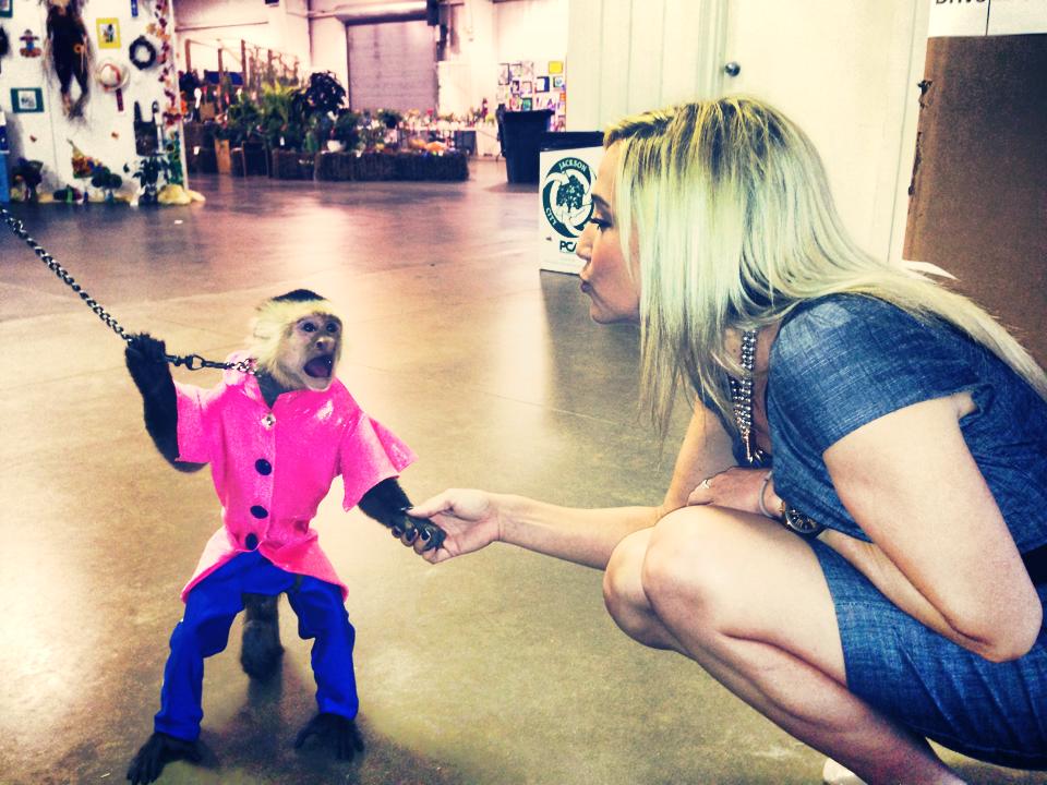 Monkeys Jockey Atop Dogs in the Banana Derby at the Fair WBBJ TV