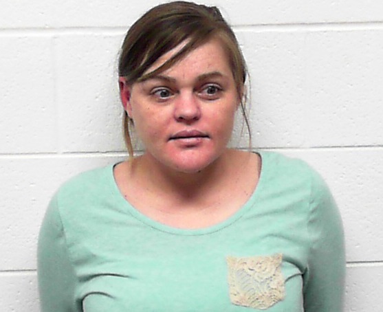 Dyer Co Woman Faces Second Tenncare Fraud Charge Wbbj Tv