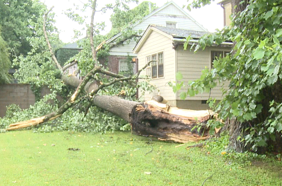 Some Jackson Residents Still Recovering From Storm Damage - WBBJ TV