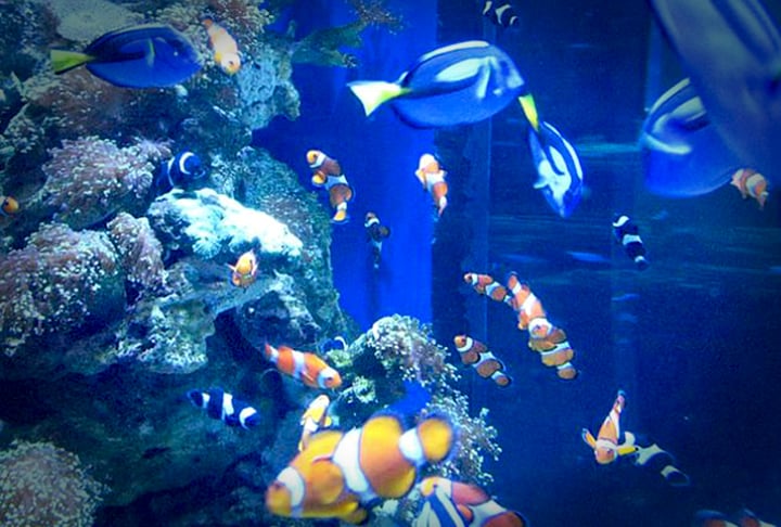 marine life oceanarium gulfport