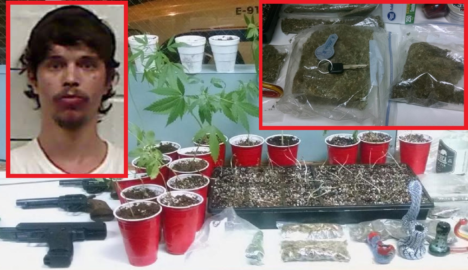 Camden man faces drug, gun charges in marijuana grow operation WBBJ TV