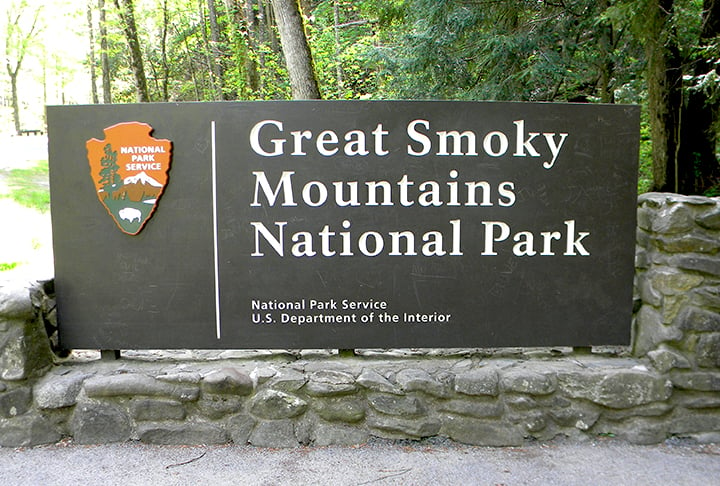 Bear euthanized after scavenging on hikers body at GSMNP 