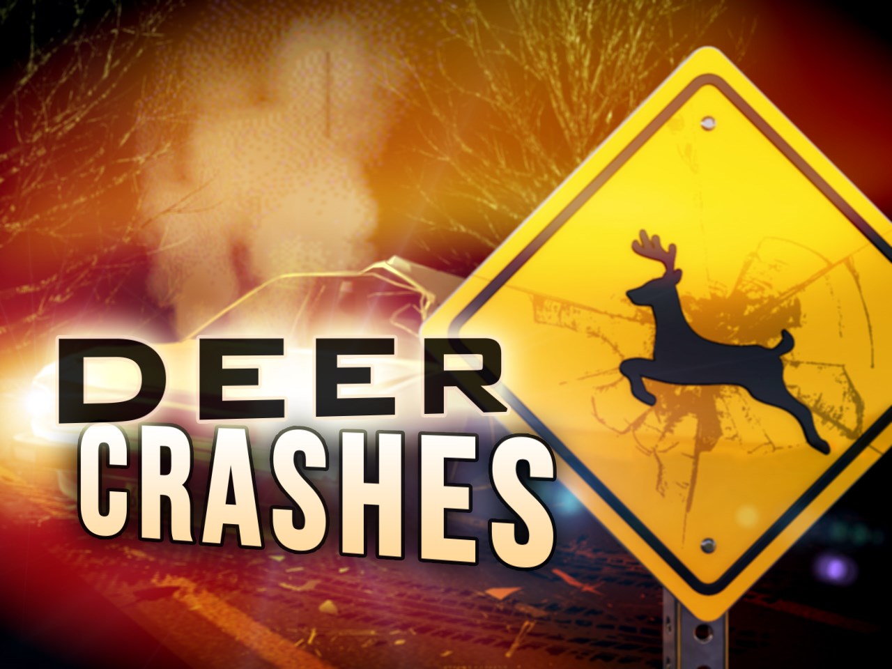 Car hits deer, deer goes airborne, hits someone walking by - WBBJ TV