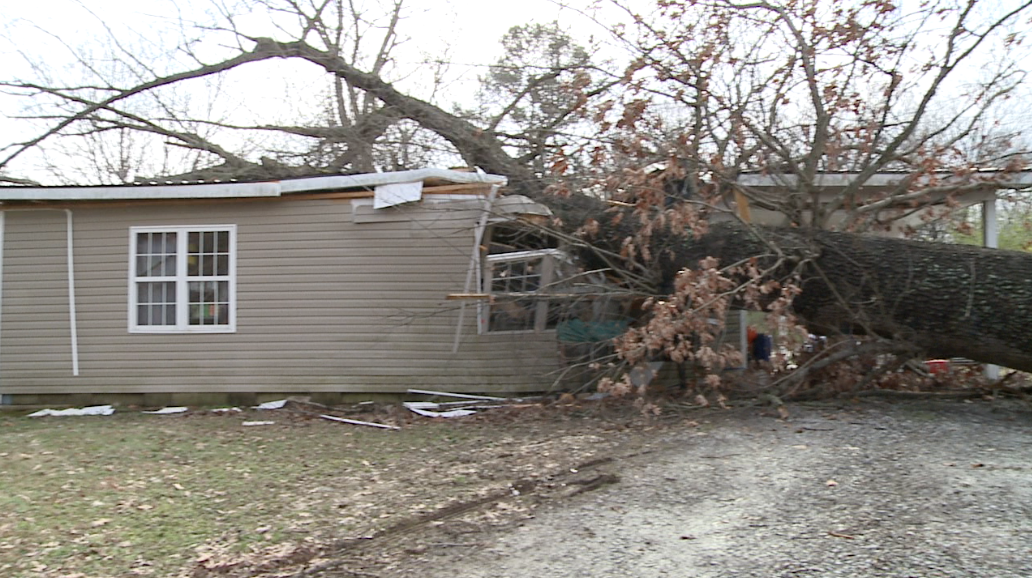 Tree crashes into family's home in Carroll County WBBJ TV