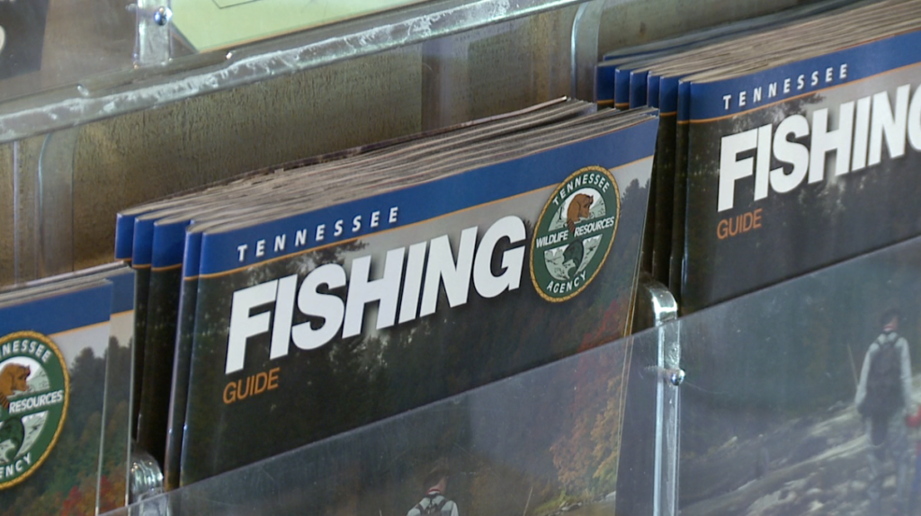 Free Fishing Day is Saturday in Tennessee WBBJ TV