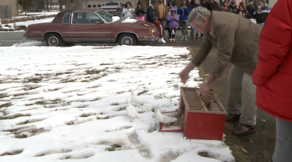 Dove release held in memory of Brownsville homicide victim WBBJ TV