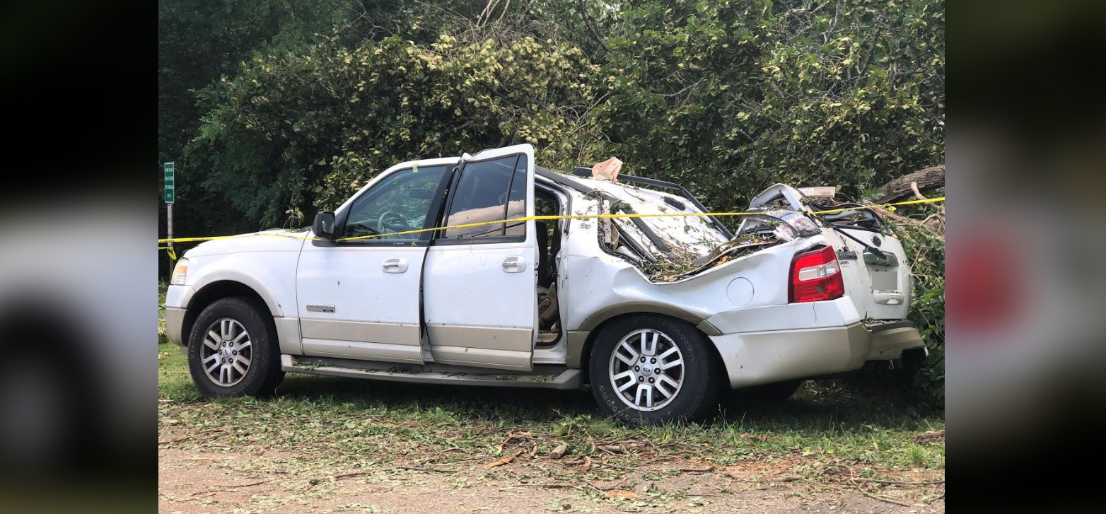 1 Dead After Tree Falls On Parked Car At Pickwick Landing State