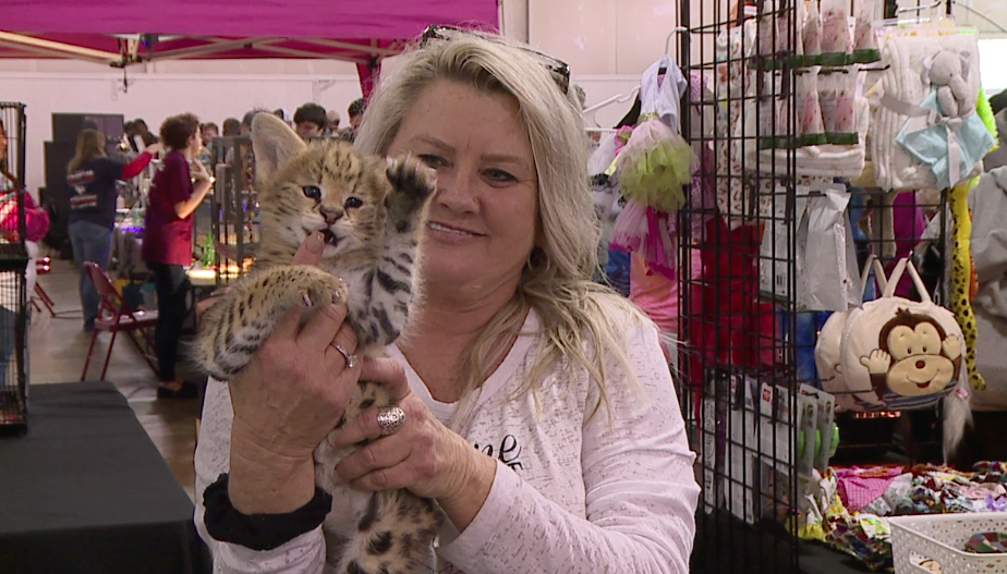 Exotic pet expo returns to Jackson WBBJ TV