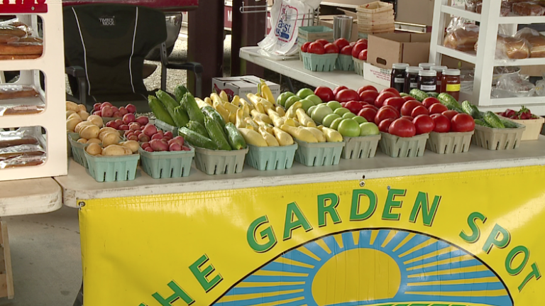 Henderson Farmers Market opens in Chester County - WBBJ TV