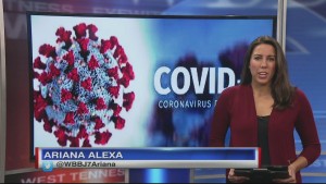 Gibson Co Corona Pkg