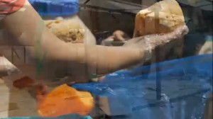 Small Business Coronavirus