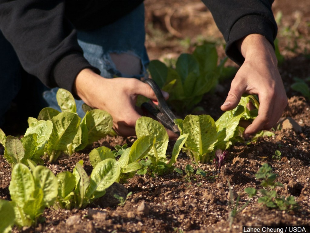 Mgn 1280x960 00415p00 Xespl