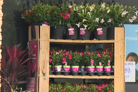 Screen Shot 2020 04 11 At 4.54.28 Pm