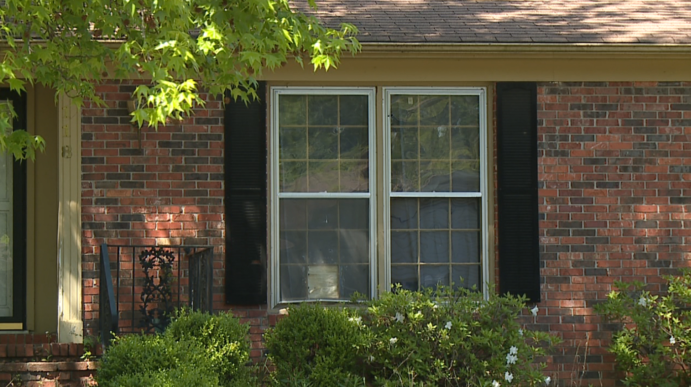 Jackson police investigate Greenfield Drive shooting WBBJ TV