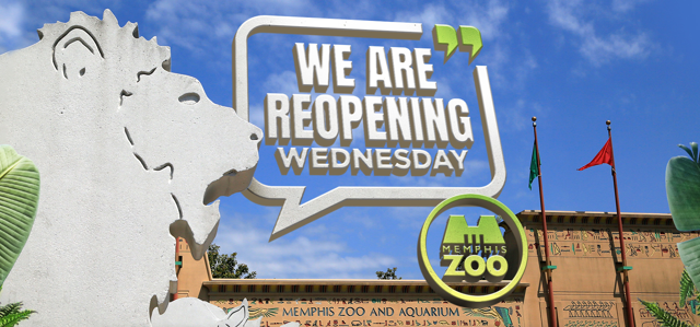 12 Memphis Zoo Were Open Blog(apr2020)