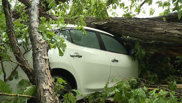 Severe Storm Creates Damage Throughout West Tennessee - Wbbj Tv