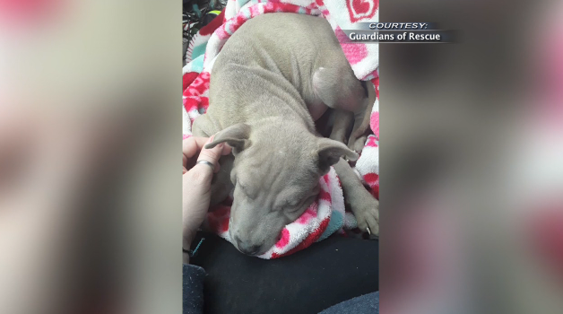 Screen Shot 2020 06 20 At 6.36.54 Pm