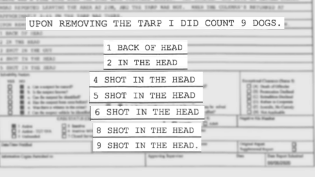 Screen Shot 2020 06 25 At 12.44.36 Pm