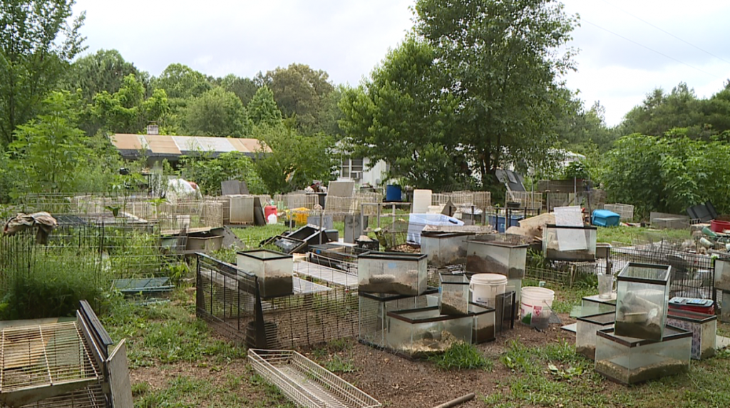 Screen Shot 2020 06 26 At 5.21.51 Pm