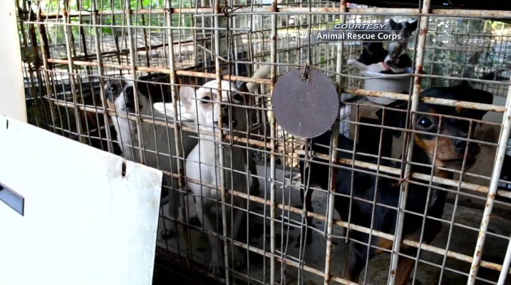 Screen Shot 2020 06 29 At 11.32.13 Am