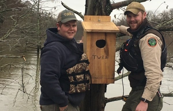 Bird Box 4