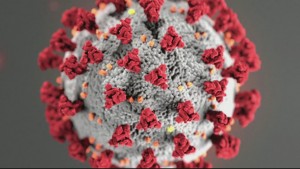 Mon Covid Update Pkg