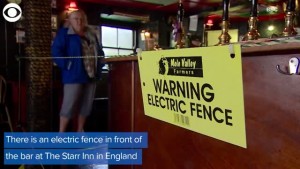 Electric Fence Distancing