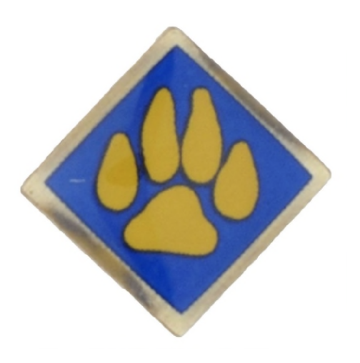 Cub Scout Pin Recall Pic