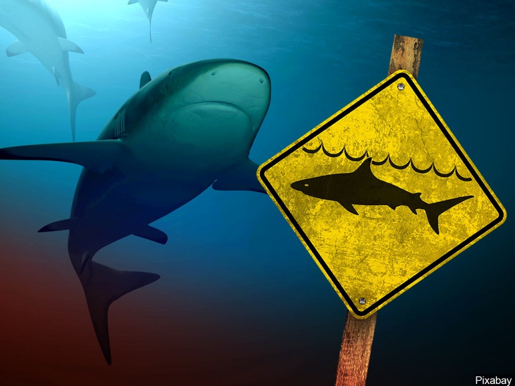 Mgn 1280x960 90424b00 Fcvei