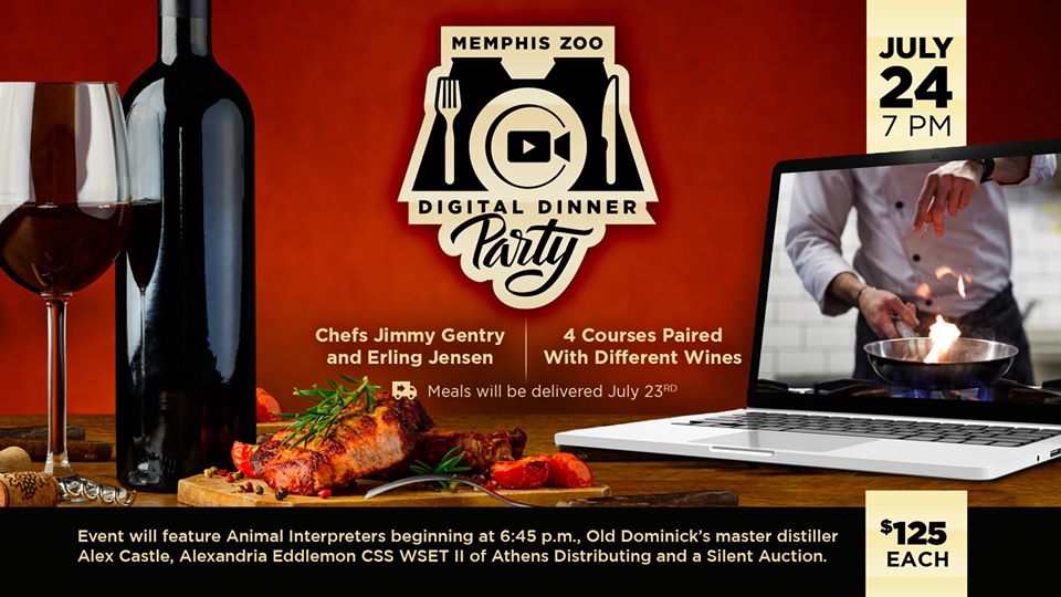 Virtual Dinner Party Pic 3