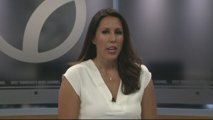 Gov Lee Press Conference Pkg