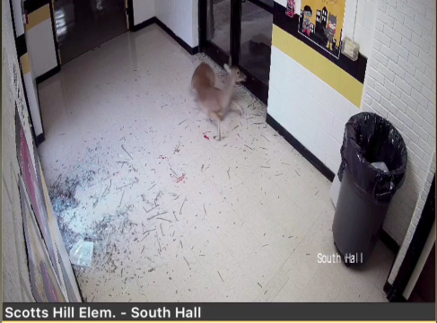 Screen Shot 2020 08 12 At 4.28.53 Pm